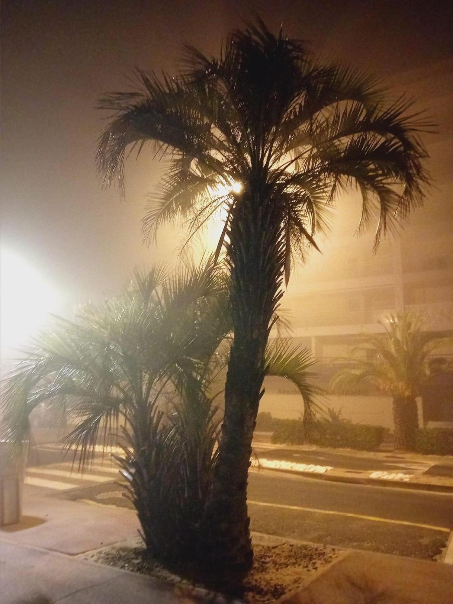 Appartcanet Bagian luar foto